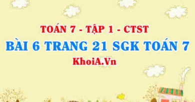 Bài 6 trang 21 SGK Toán 7 tập 1 Chân trời sáng tạo